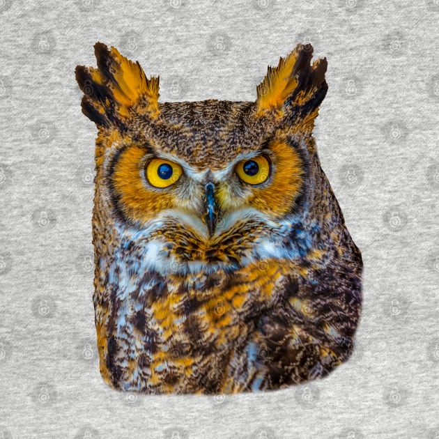 Cut out of Great Horned Owl by dalyndigaital2@gmail.com